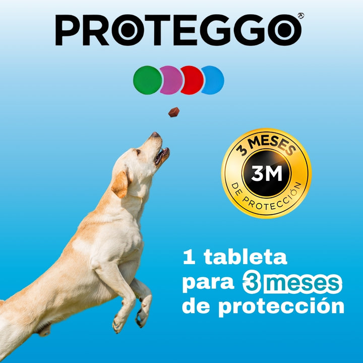 PROTEGGO 3M (Perros de 20 Kg. a 40 Kg.)