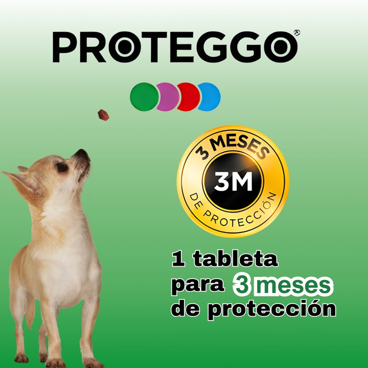 PROTEGGO 3M (Perros de 2 Kg. a 4.5 Kg.)