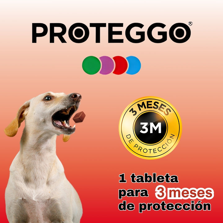 PROTEGGO 3M (Perros de 10 Kg. a 20 Kg.)