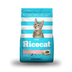 RICOCAT GATITOS
