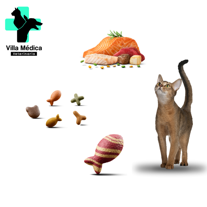 RICOCAT FESTIVAL DE SABORES