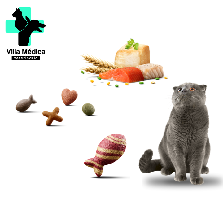 RICOCAT ESTERILIZADOS